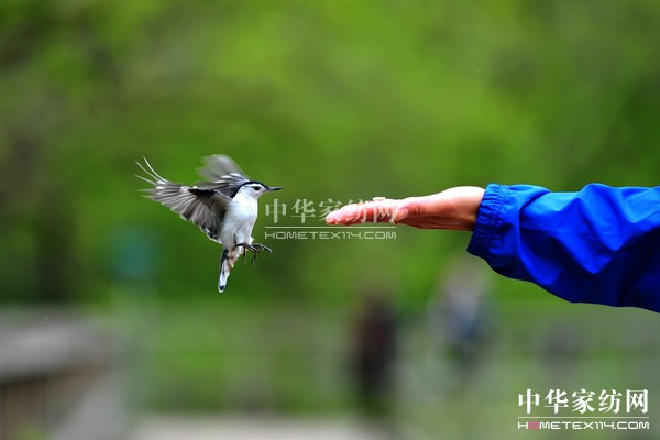 導購如何獲得顧客的信任感?